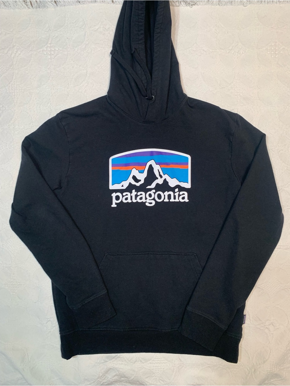 Patagonia Black Hoodie with Multicolor Mountain Logo